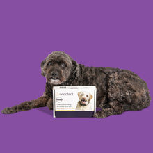 Load image into Gallery viewer, Oncotect Essential At-Home Dog Cancer Screening Test Kit
