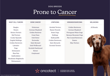 Load image into Gallery viewer, Oncotect Essential At-Home Dog Cancer Screening Test Kit
