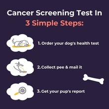 Load image into Gallery viewer, Oncotect Essential At-Home Dog Cancer Screening Test Kit
