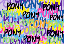Load image into Gallery viewer, Fly Bonnet Fox, Graffiti
