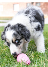 Load image into Gallery viewer, DS26 Puppy KONG Treat-Stuffing Chew Dog Toy
