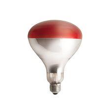Load image into Gallery viewer, DS26 Clamp-On Brooder Heat Lamp for Chicks &amp; Poultry - Compatible with 250W Red &amp; Clear Heat Bulbs

