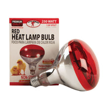 Load image into Gallery viewer, DS26 Clamp-On Brooder Heat Lamp for Chicks &amp; Poultry - Compatible with 250W Red &amp; Clear Heat Bulbs
