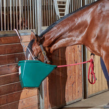 Load image into Gallery viewer, DS26 The Better Bucket – 2.5 &amp; 5 Gallon Horse and Cattle Feeder, Ergonomic Feed
