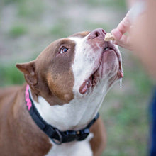 Load image into Gallery viewer, Wonder Bark Everyday All Natural Grain-Free Dog Treats
