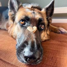 Load image into Gallery viewer, Wonder Bark Everyday All Natural Grain-Free Dog Treats
