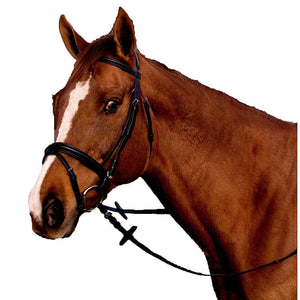 Pro-Trainer Padded Crank Bridle with Flash - Black