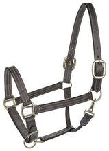 Load image into Gallery viewer, Henri de Rivel Triple Stitched Halter
