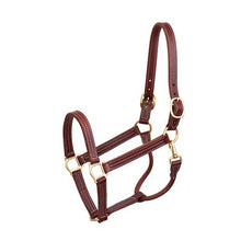 Load image into Gallery viewer, 1&quot; HORSE PROFESSIONAL SHOW HALTER
