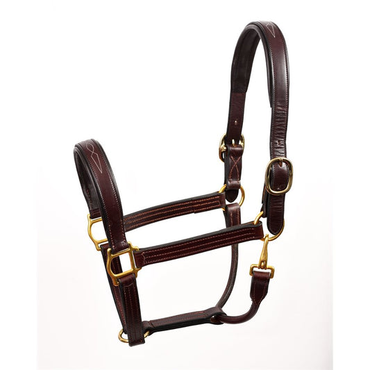 Perri Leather Halter - Padded with Fancy Stitching