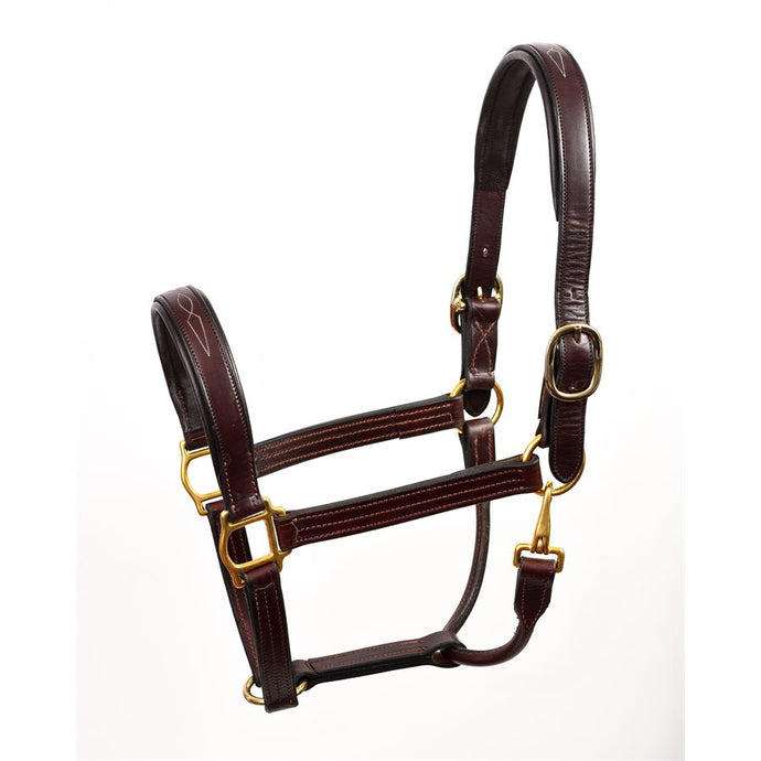 Leather Halter - Padded with Fancy Stitching