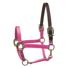 Load image into Gallery viewer, Safety Halter PONY
