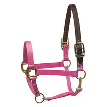 Load image into Gallery viewer, Draft Safety Halter
