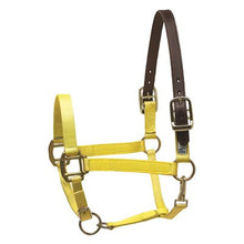 Load image into Gallery viewer, Draft Safety Halter
