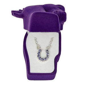 Rhinestone Horseshoe Necklace