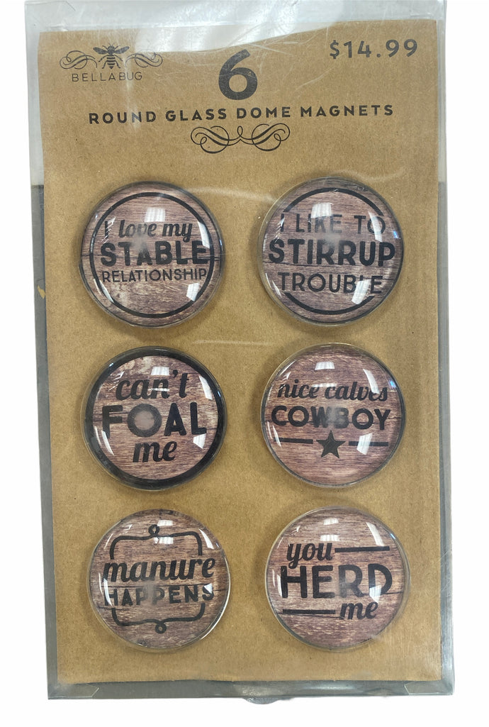 Round Glass Dome Magnets: Barn Puns