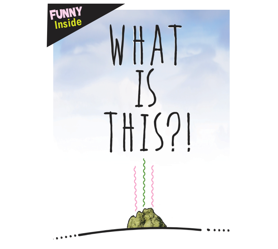 Horse Birthday Card: What is this?!