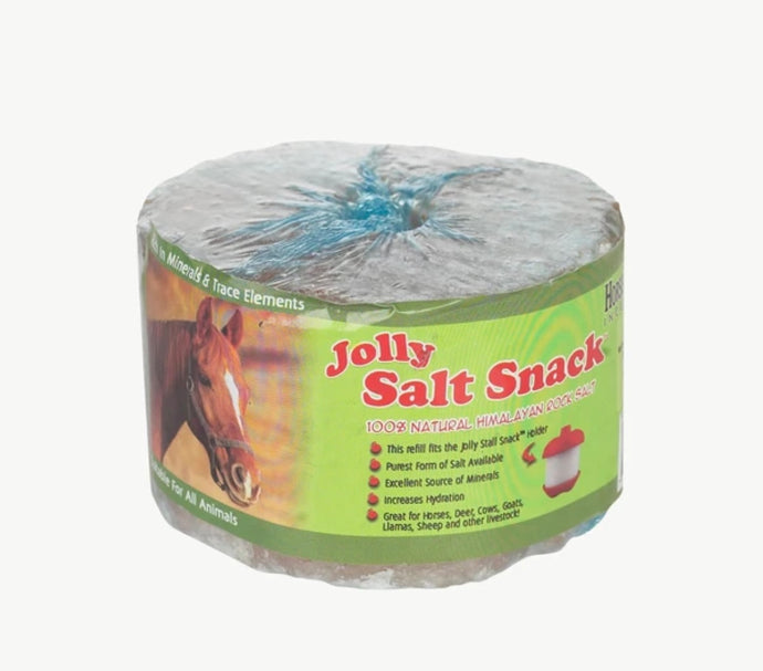 Jolly Salt Snack: Himalayan Rock Salt