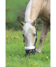 Load image into Gallery viewer, Comfort Grazing Muzzle 495NF
