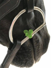 Load image into Gallery viewer, SOLDOUTHorse Blank Card: Four Leaf Clover
