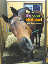 Load image into Gallery viewer, SOLDOUTHorse Birthday Card: Mugging for Treats

