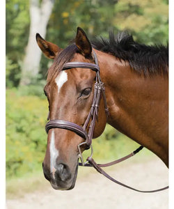 Avignon Wellington Bridle 50002