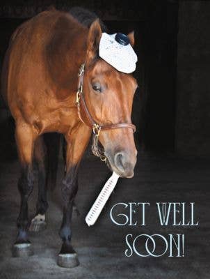 Horse Funny Get Well Card: Get Well Soon Horse Card