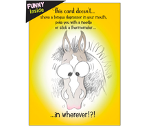 Load image into Gallery viewer, Horse Funny Get Well Card: This Card Doesn&#39;t... Horse Card
