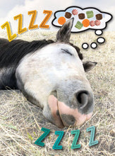 Load image into Gallery viewer, Horse Birthday Card: ZZZZZZ....
