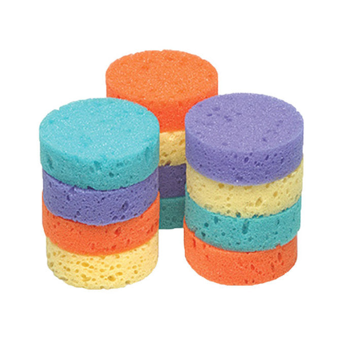 AE Rainbow Sponges-12 Pk