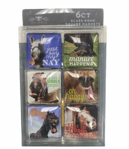 Square Glass Dome Magnets:Horse Puns