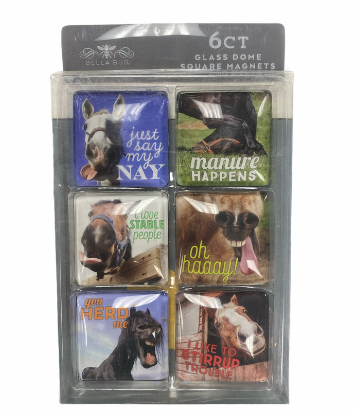Square Glass Dome Magnets:Horse Puns