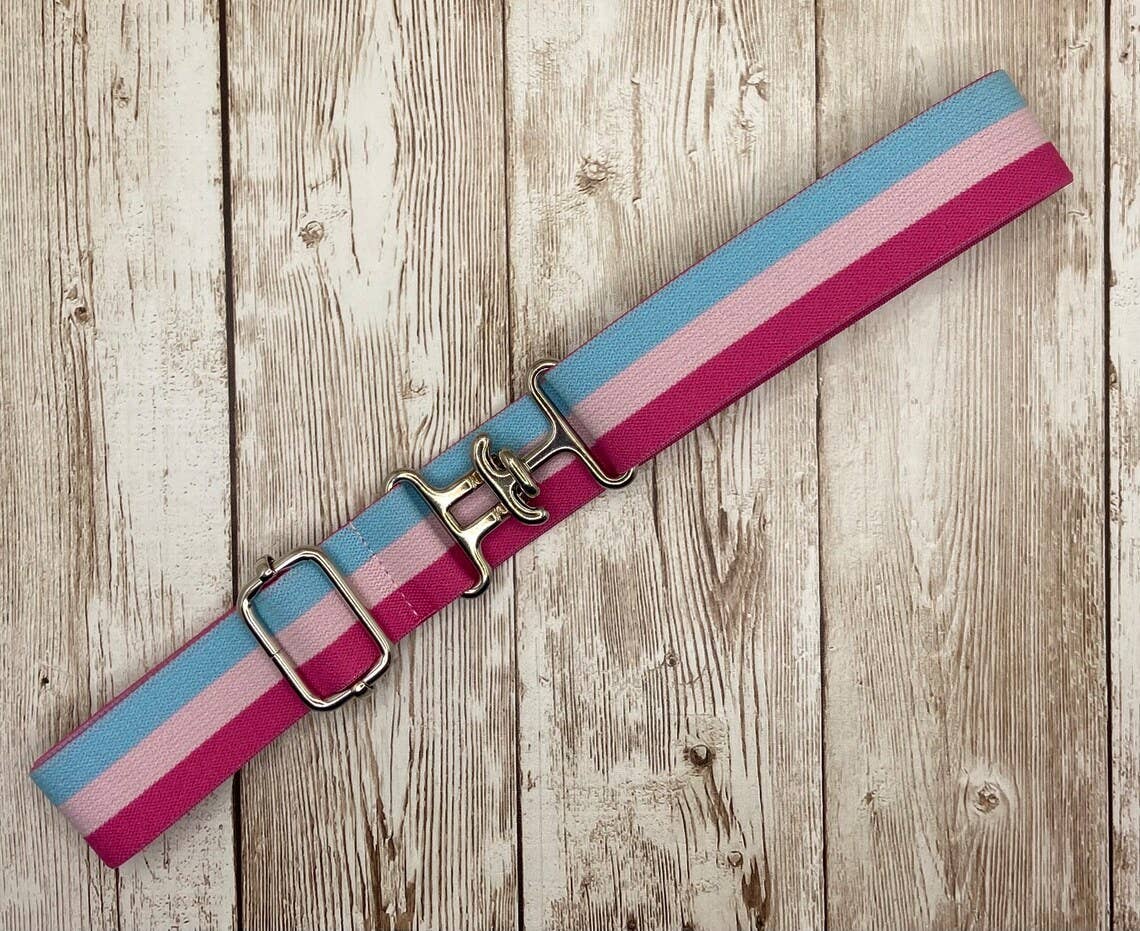 1" Equestrian Surcingle Belt - Pink and Blue Stripe