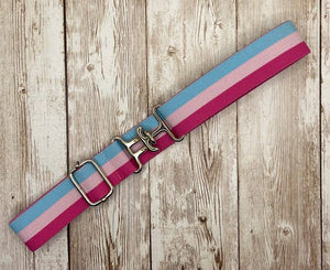 ✅Benny Bows Belt 1"