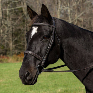 Henri de Rivel Pro Mono Crown Bridle with Padded Wide Noseband  with Laced Reins