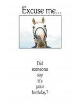 Load image into Gallery viewer, Horse Birthday Card: Excuse Me...
