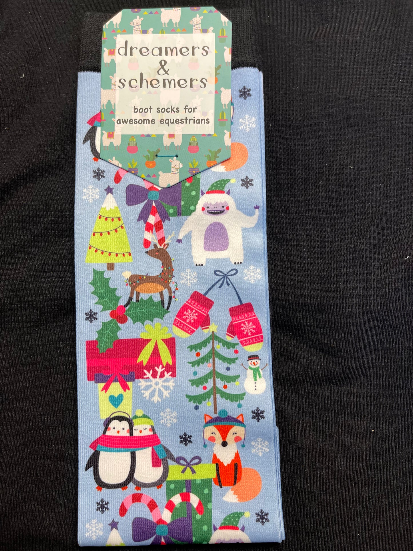 Dreamers & Schemers FALL WINTER 22