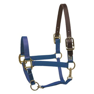 Draft Safety Halter