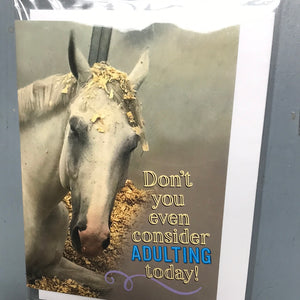 Greeting Cards