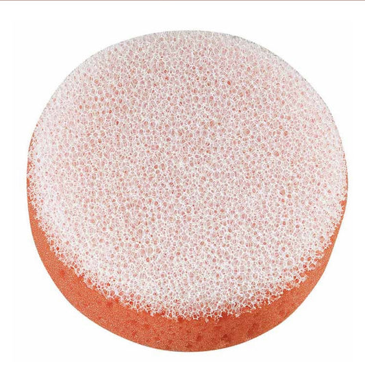 AE Tack Sponge Mini w/Scrubber