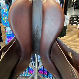 Antares Evolution 17.5"