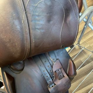 Antares Evolution 17.5"