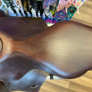 Antares Evolution 17.5"