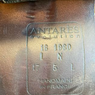 Antares Evolution 17.5"