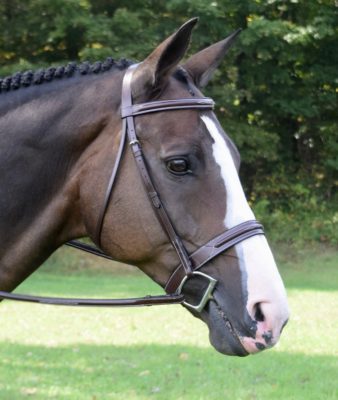 222 Red Barn Sonoma F/S